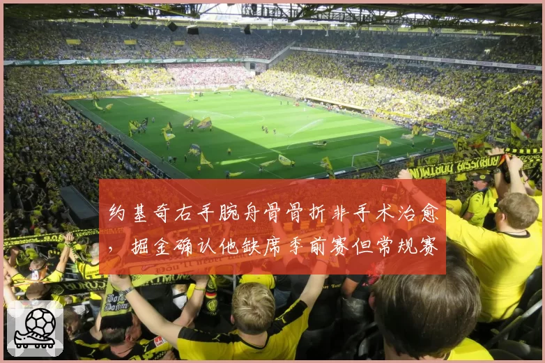 约基奇右手腕舟骨骨折非手术治愈，掘金确认他缺席季前赛但常规赛无碍