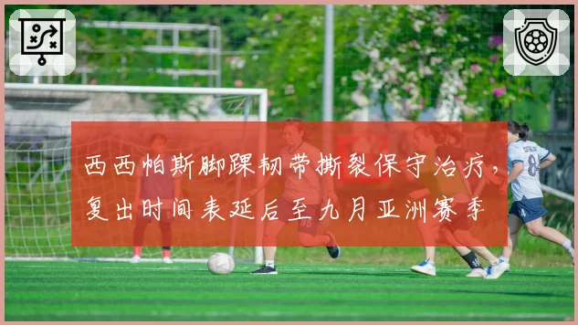 西西帕斯脚踝韧带撕裂保守治疗，复出时间表延后至九月亚洲赛季