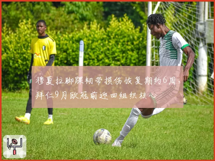 穆夏拉脚踝韧带损伤恢复期约6周，拜仁9月欧冠前迎回组织核心