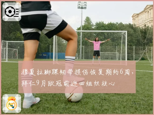 穆夏拉脚踝韧带损伤恢复期约6周,拜仁9月欧冠前迎回组织核心